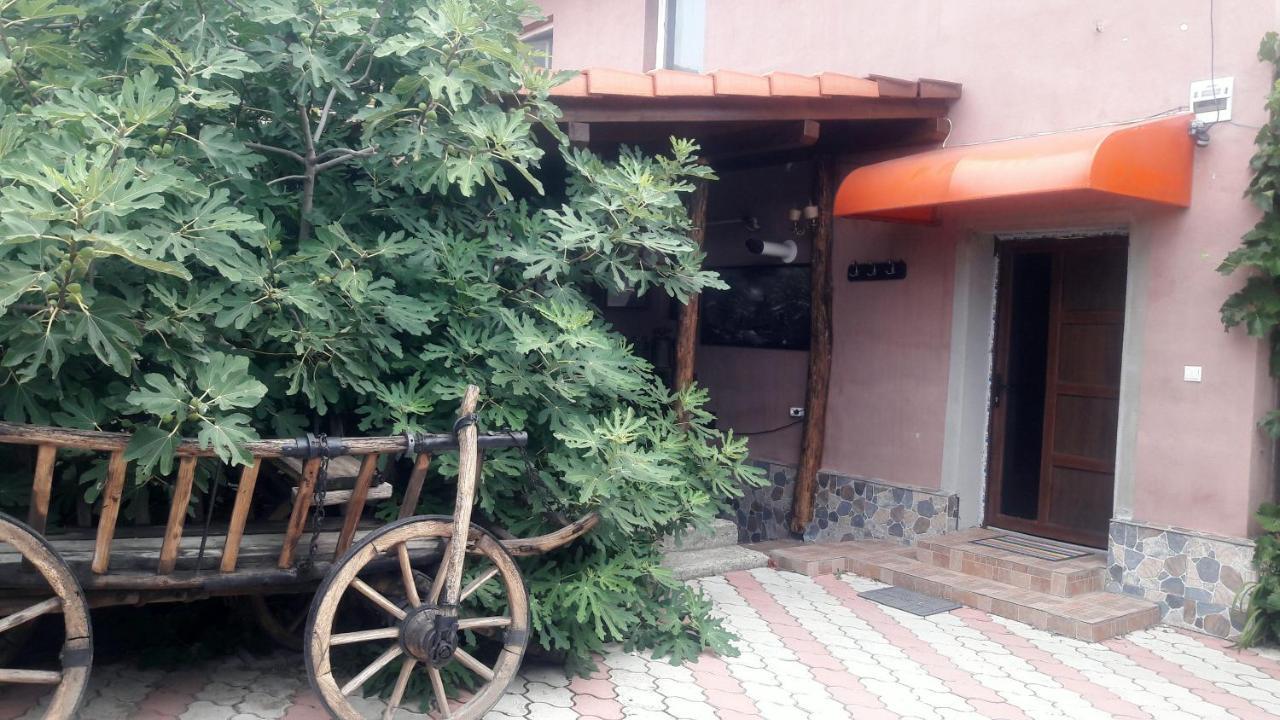 Arad Apartment - Airport Area Exterior foto